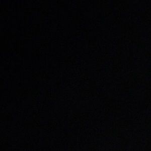 Meet your Posher, Buddy